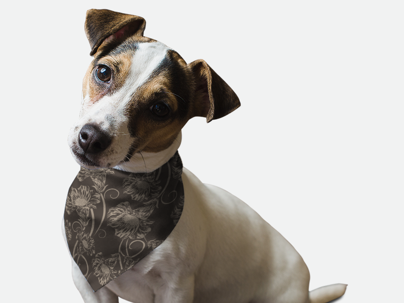 Dark gray dog bandana with light floral pattern, tied around neck