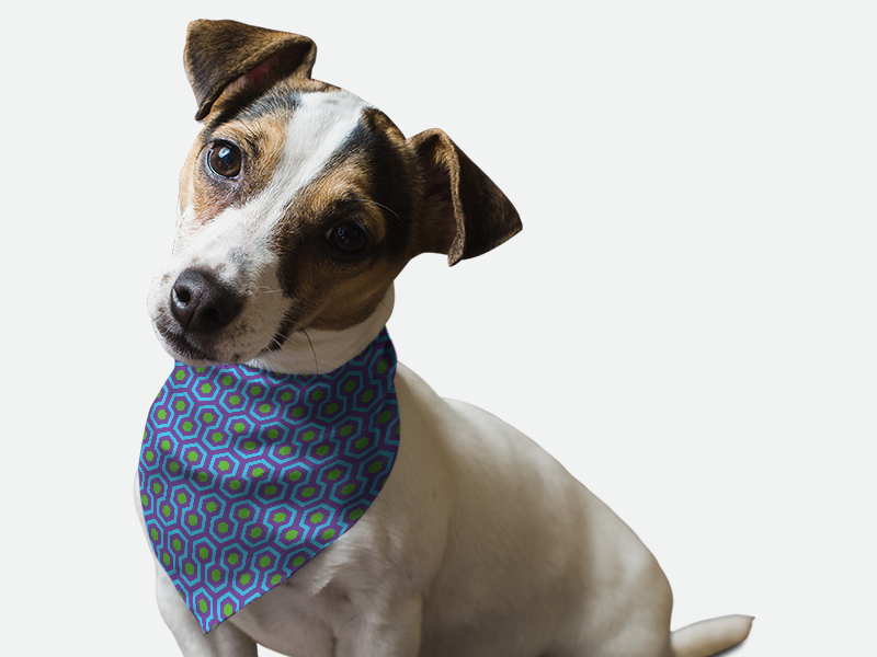 1960's Retro Style - Pet Supplies | Pet Supplies, Pets