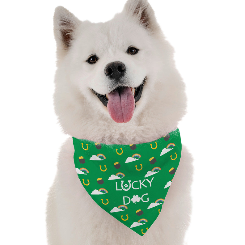 White dog wearing green Lucky Dog bandana with rainbows and horseshoe prints