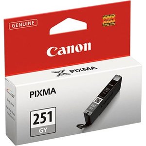 Canon CLI-251 GY Ink Cartridge - Gray - Computers & Electronics