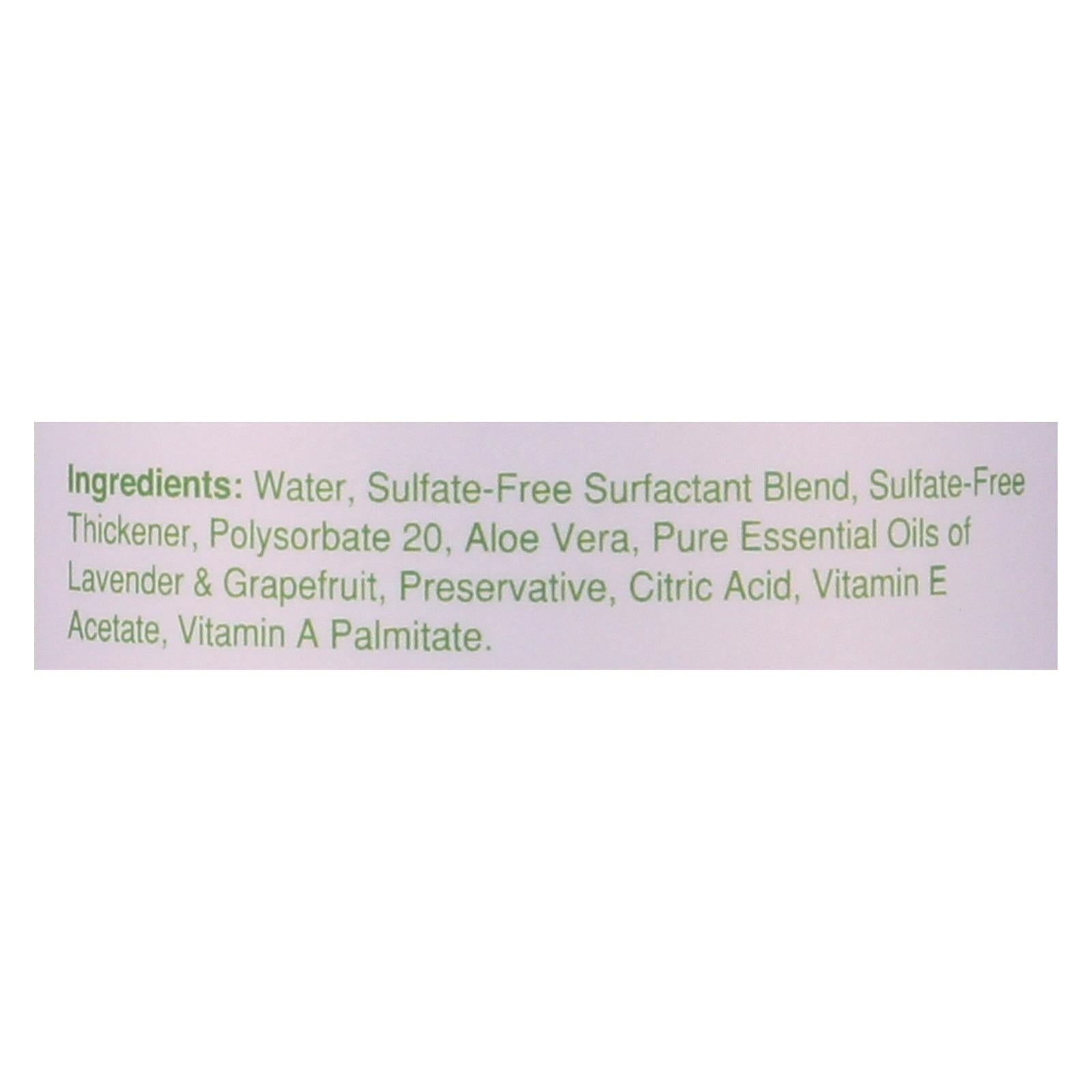 Rebel Green Hand Soap - Lavender - Case Of 4 - 16.9 Fl Oz - GreatEagleInc