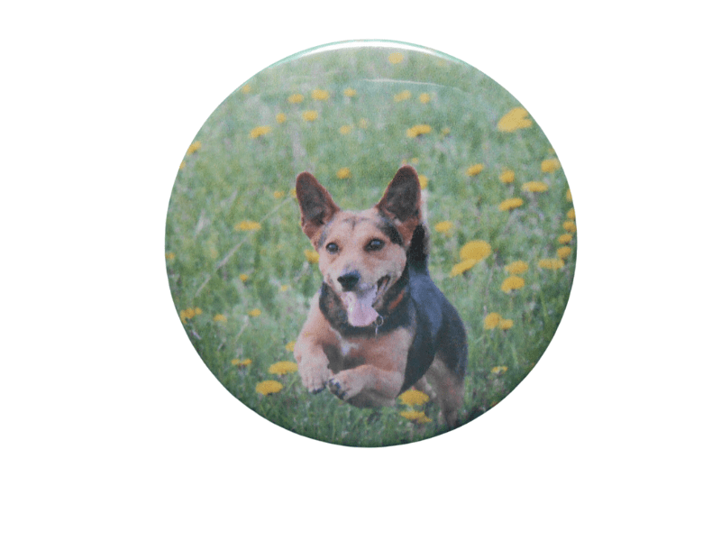 Round cute dog photo sticker with dog in grass background