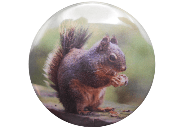 2.25-inch round squirrel button, printed animal photo