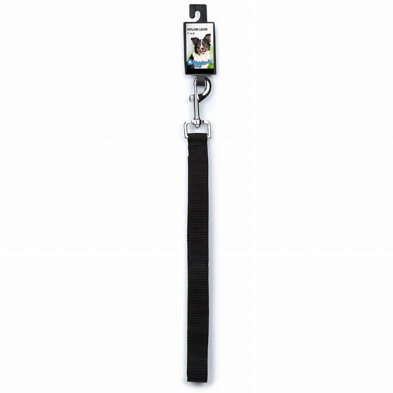 DGR 1in Nylon Lead - Neon Orange / 1 / 72in - Pet Supplies