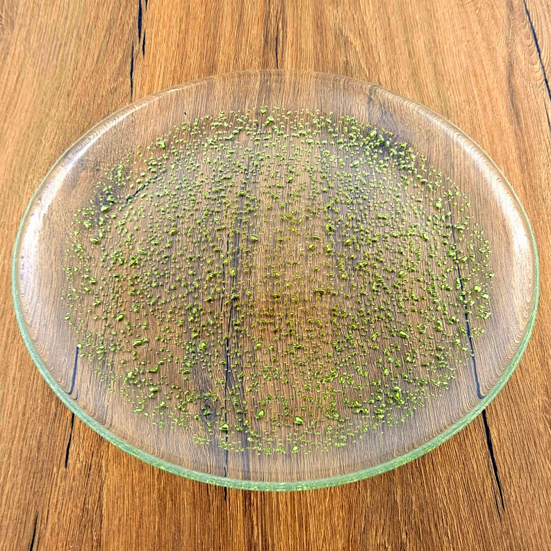 12-piece clear glass dinner plate with gold speckled center and raised rim