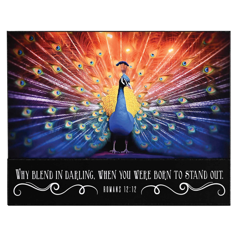 Peacock wall plaque with colorful feather art and black scripture text at bottom