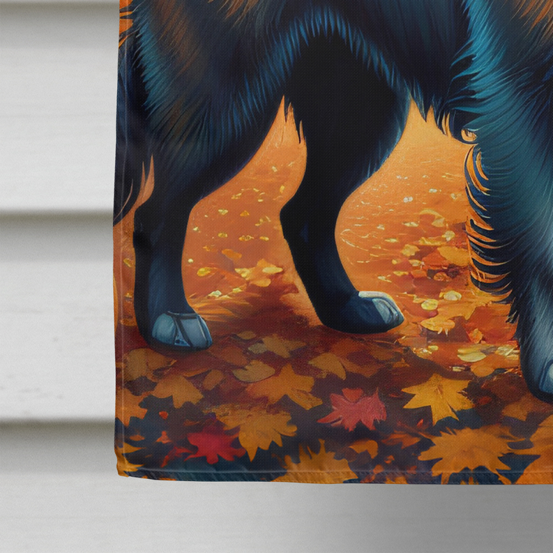 Fall house flag close-up of blue dog legs and autumn leaves on the ground