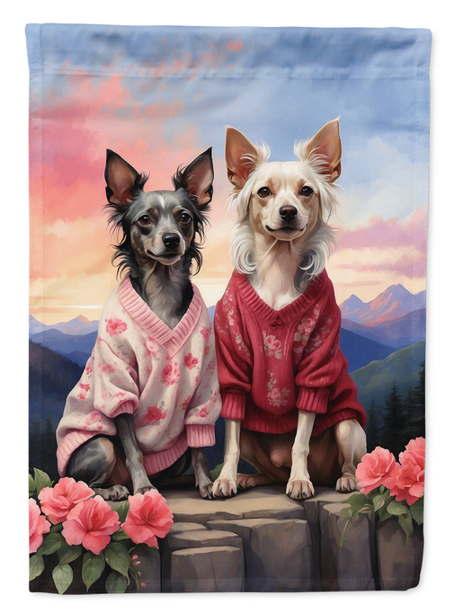 Garden flag with two Chinese Crested dogs in pink and red sweaters on stone steps