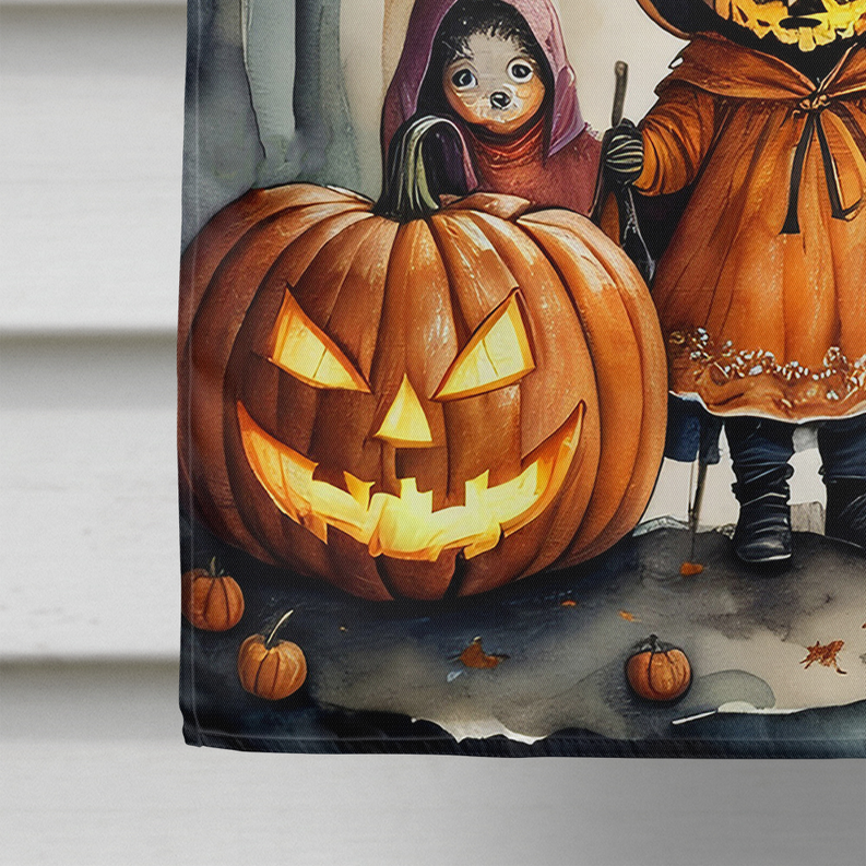 Halloween house flag close-up of glowing jack-o'-lanterns and costumed kids