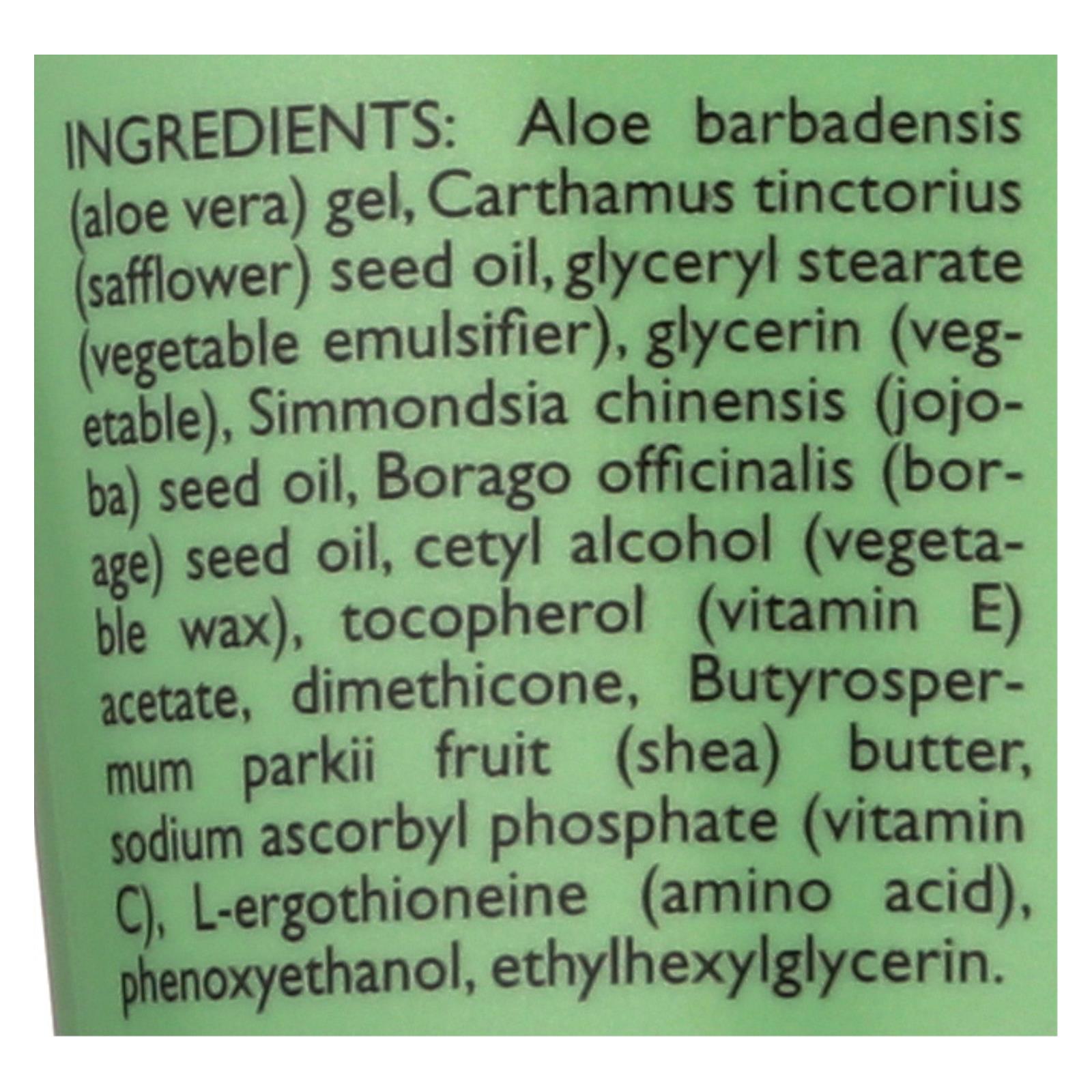 Shikai Borage Therapy Hand Cream Unscented - 2.5 Fl Oz - GreatEagleInc