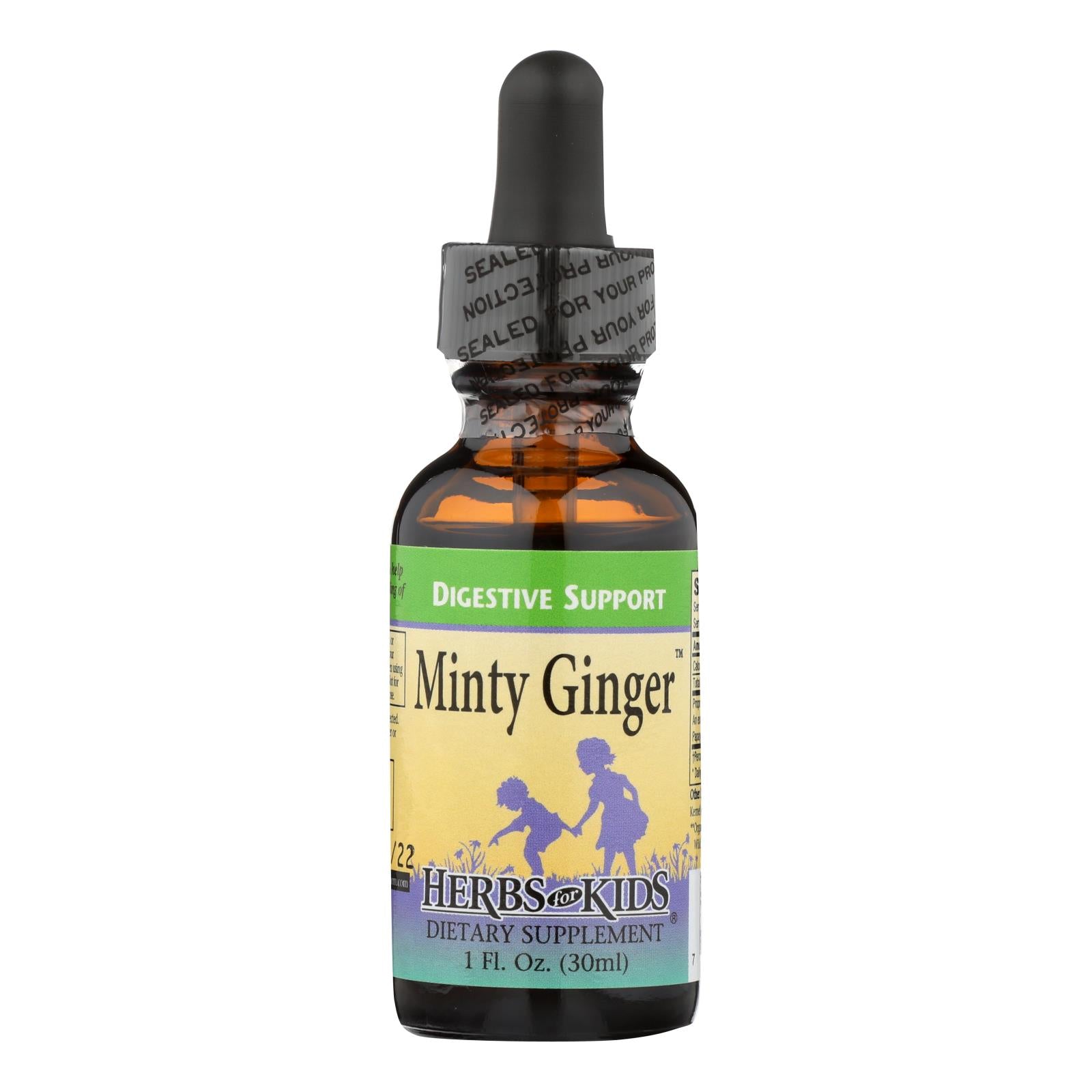 Herbs For Kids Minty Ginger - 1 Fl Oz - GreatEagleInc