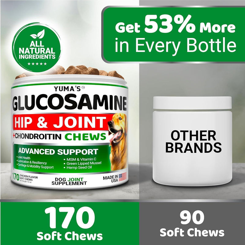 (2 Pack) Glucosamine for Dogs   Made in USA - Pet Supplies