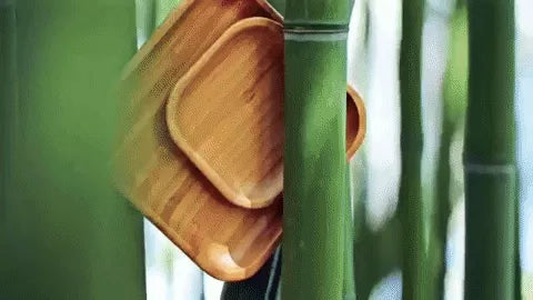 Wood bamboo plate corner with rounded edge, visible wood grain