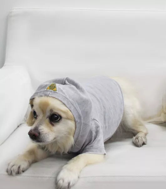 Doggy Hoodie French Terry - Asphalt / 1 / Large - Pet Supplies