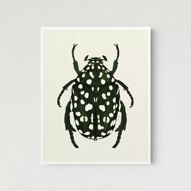 Square framed beetle print with dark green insect and white spots, white frame.