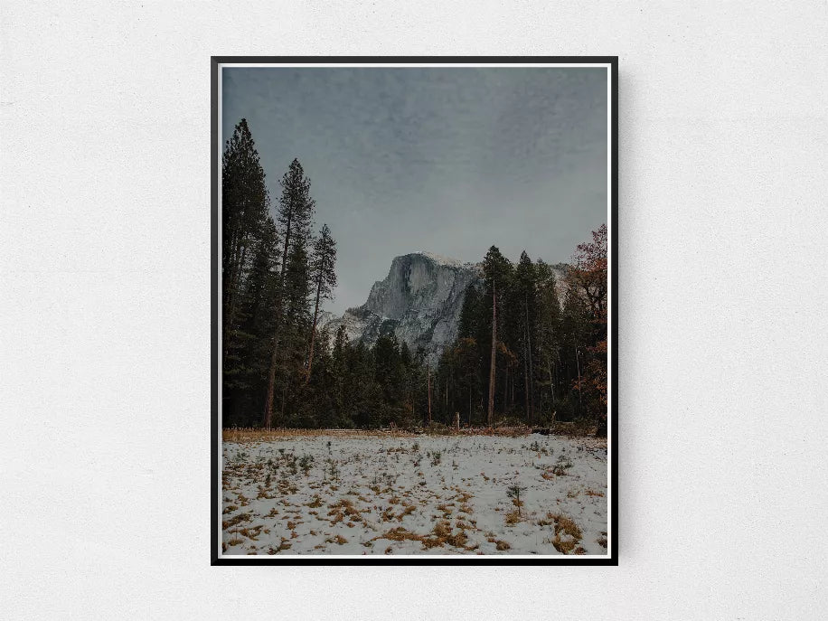 Framed landscape photo with mountain peak, tall pines, and snowy patch; dark frame.