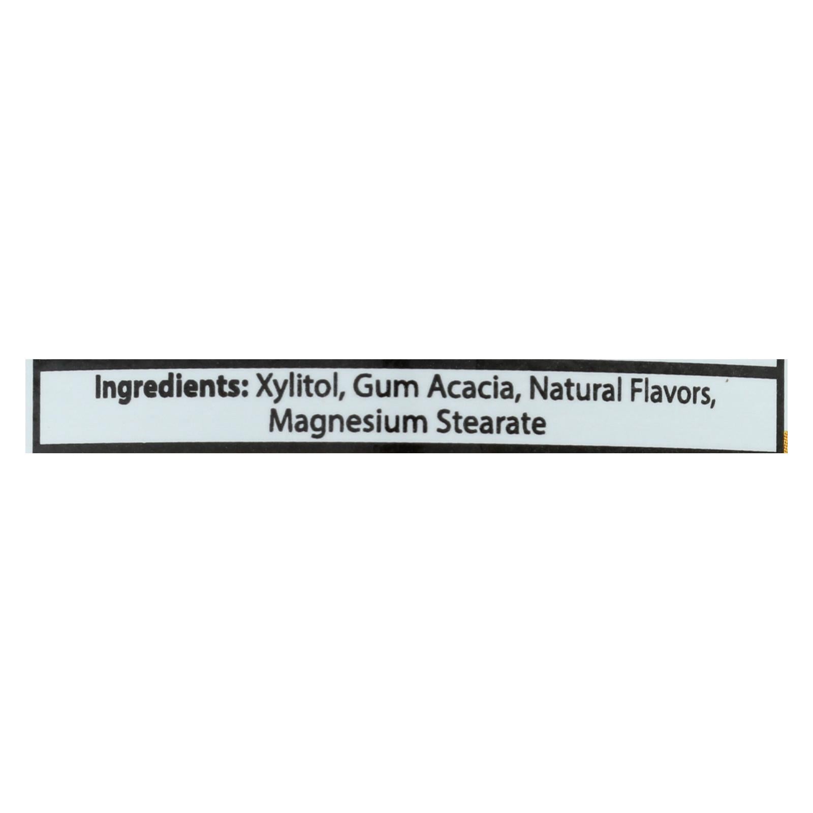 Epic Dental - Xylitol Mints - Fruit Xylitol Bottle - 180 Ct - GreatEagleInc