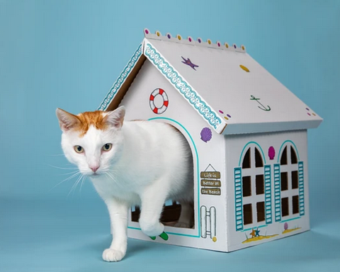 Breezy Beach Cottage Cardboard Cat Playhouse (Pack of 5) - Toys
