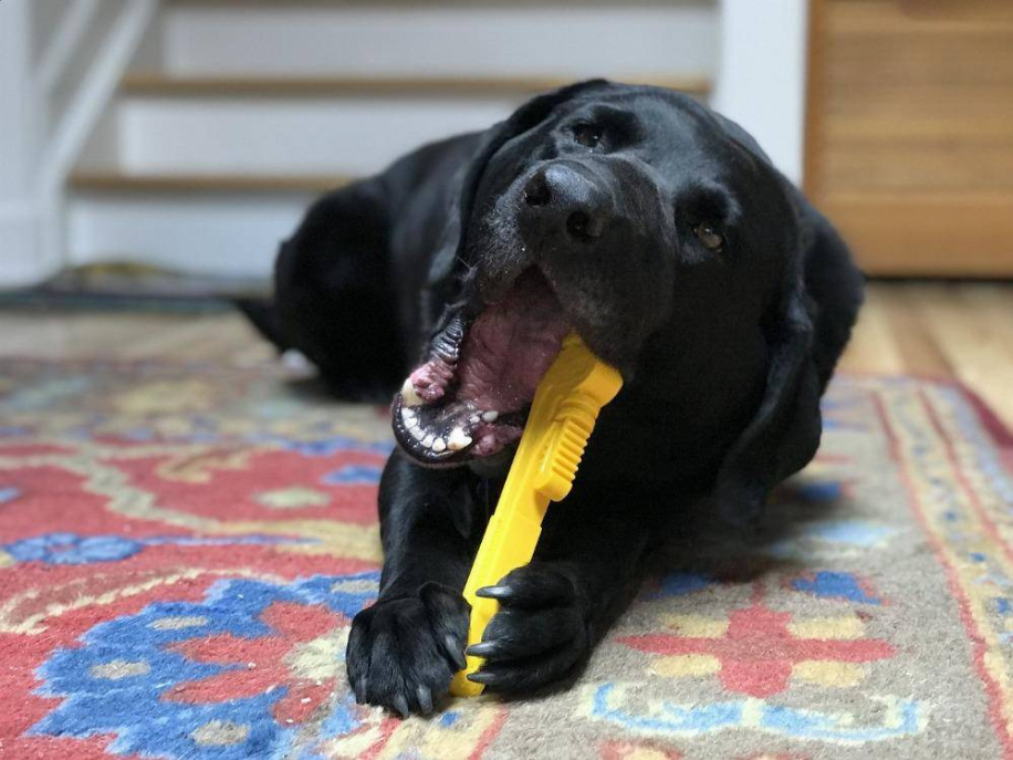 Black dog chewing a yellow pipe wrench-style dog chew toy with ridged handle