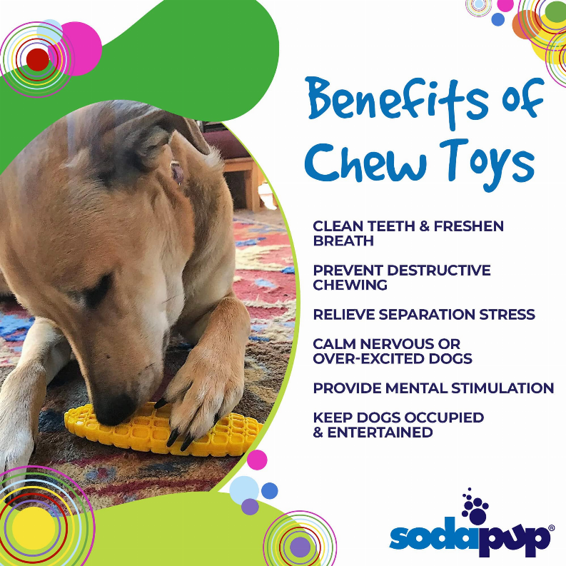 Yellow corn-on-the-cob chew toy near a dog, raised grid texture