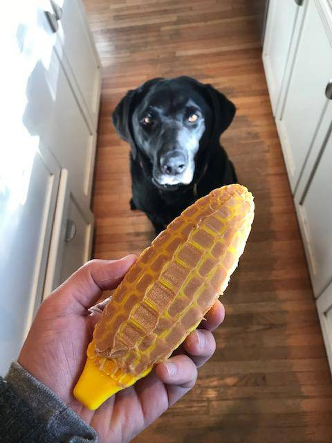 Yellow corn-shaped nylon chew toy held in a hand, ridged surface