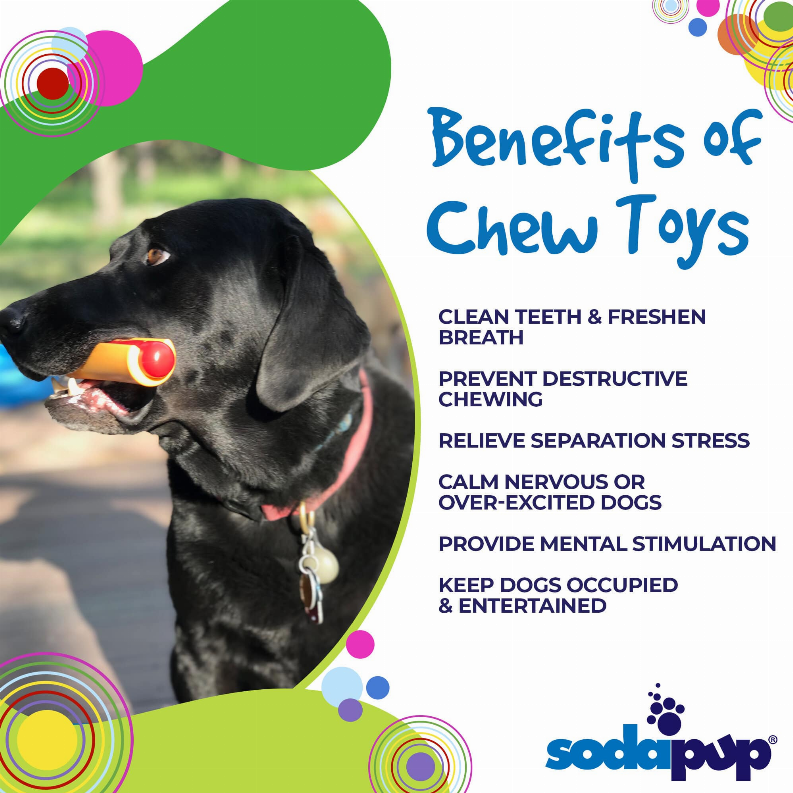 Yellow and red hot dog chew toy in a dog’s mouth on a benefits graphic