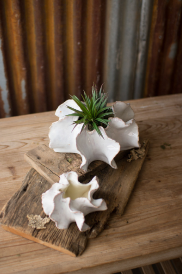 Set of two white ceramic planters with small green plants