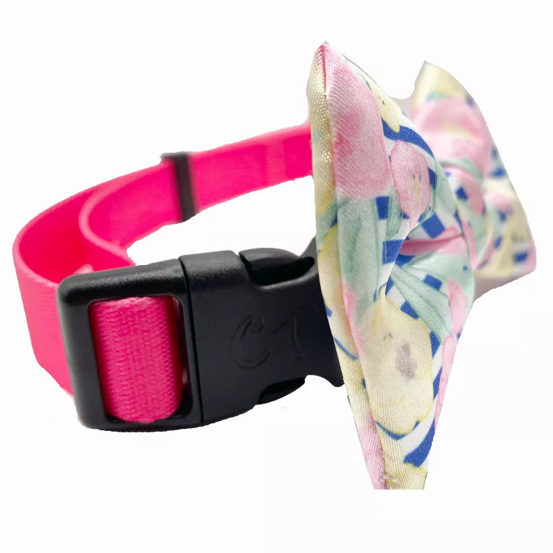 Dog bow tie with hot pink collar strap, black buckle, and pastel floral bow