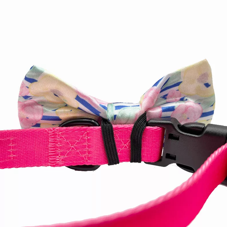 Dog bow tie with patterned bow and bright pink strap with black clasp