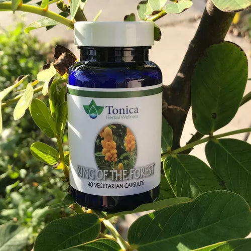 Herbal supplement bottle with label, 40 vegetarian capsules