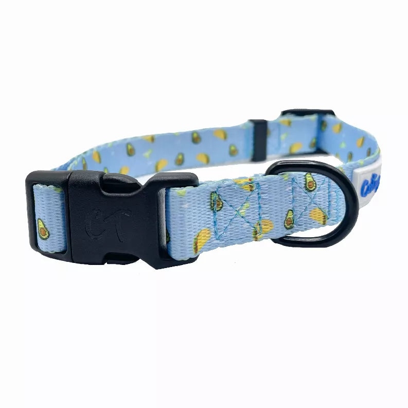 Blue taco-pattern dog collar with black buckle and D-ring