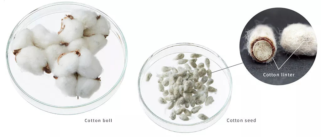 Cotton mask material visuals: cotton boll, cotton seed, and cotton liner circle callout.