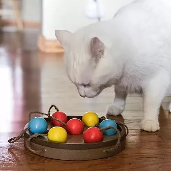 Brainiac  Interactive Pet Toy - 1 / Busy Paw - Toys