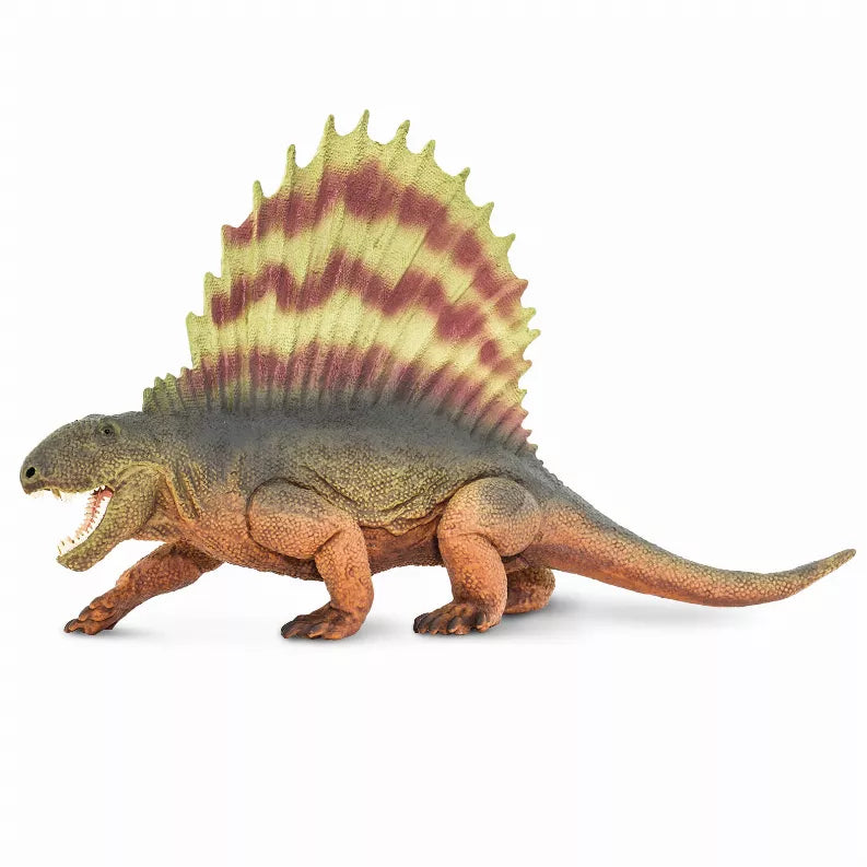 Dimetrodon dinosaur figure with sail, standing side view, textured scales