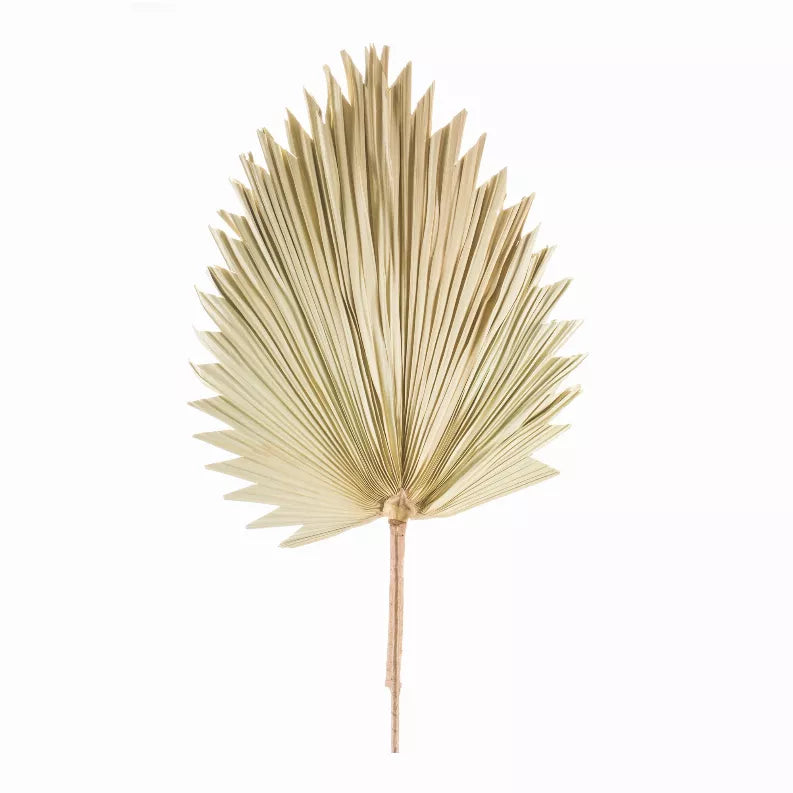 Natural fan palm leaf decoration with thin stem