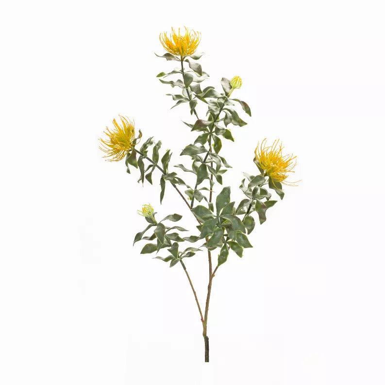 Protea stem with flocked yellow flowers and green leaves, 34.25-inch height.