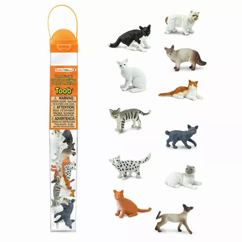 Domestic Cats - 1 - Toys