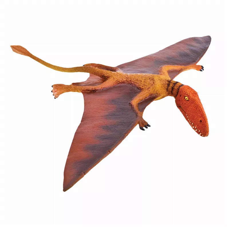 Dimorphodon - 1 - Toys
