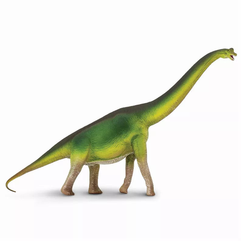 Green Brachiosaurus dinosaur toy figure with long neck, standing on four legs.