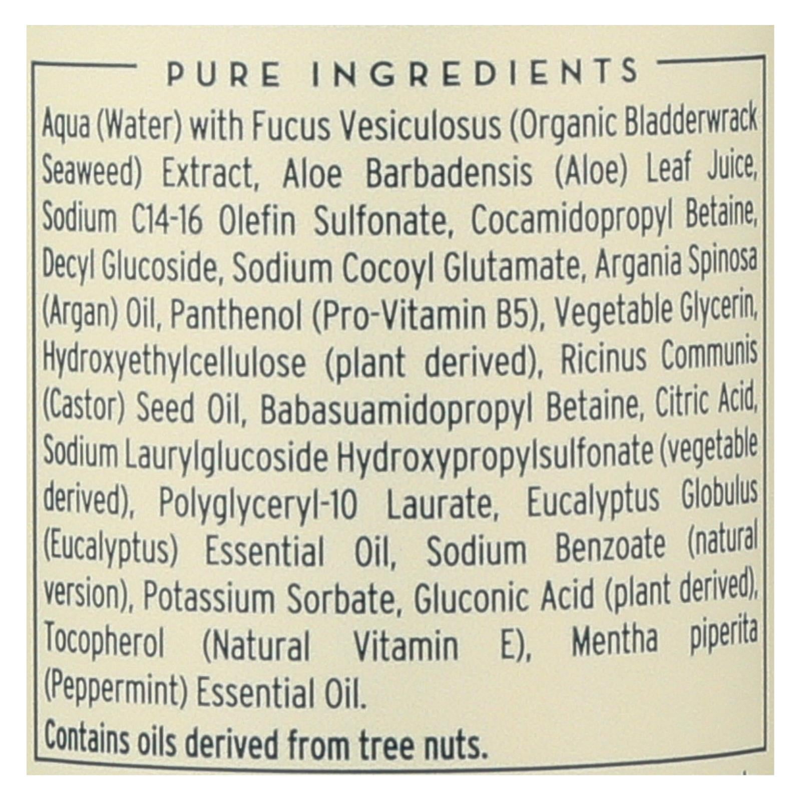 The Seaweed Bath Co Shampoo - Balancing - Eucalyptus - Pepper - 12 Fl Oz - GreatEagleInc