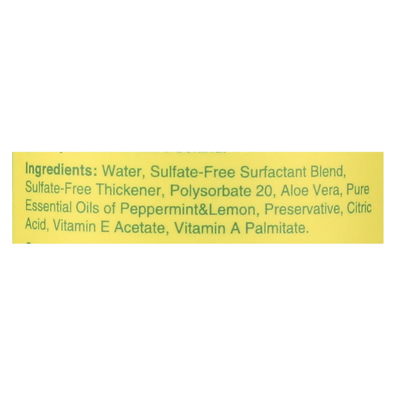 Rebel Green Hand Soap - Peppermint - Lemon - Case Of 4 - 16.9 Fl Oz - GreatEagleInc