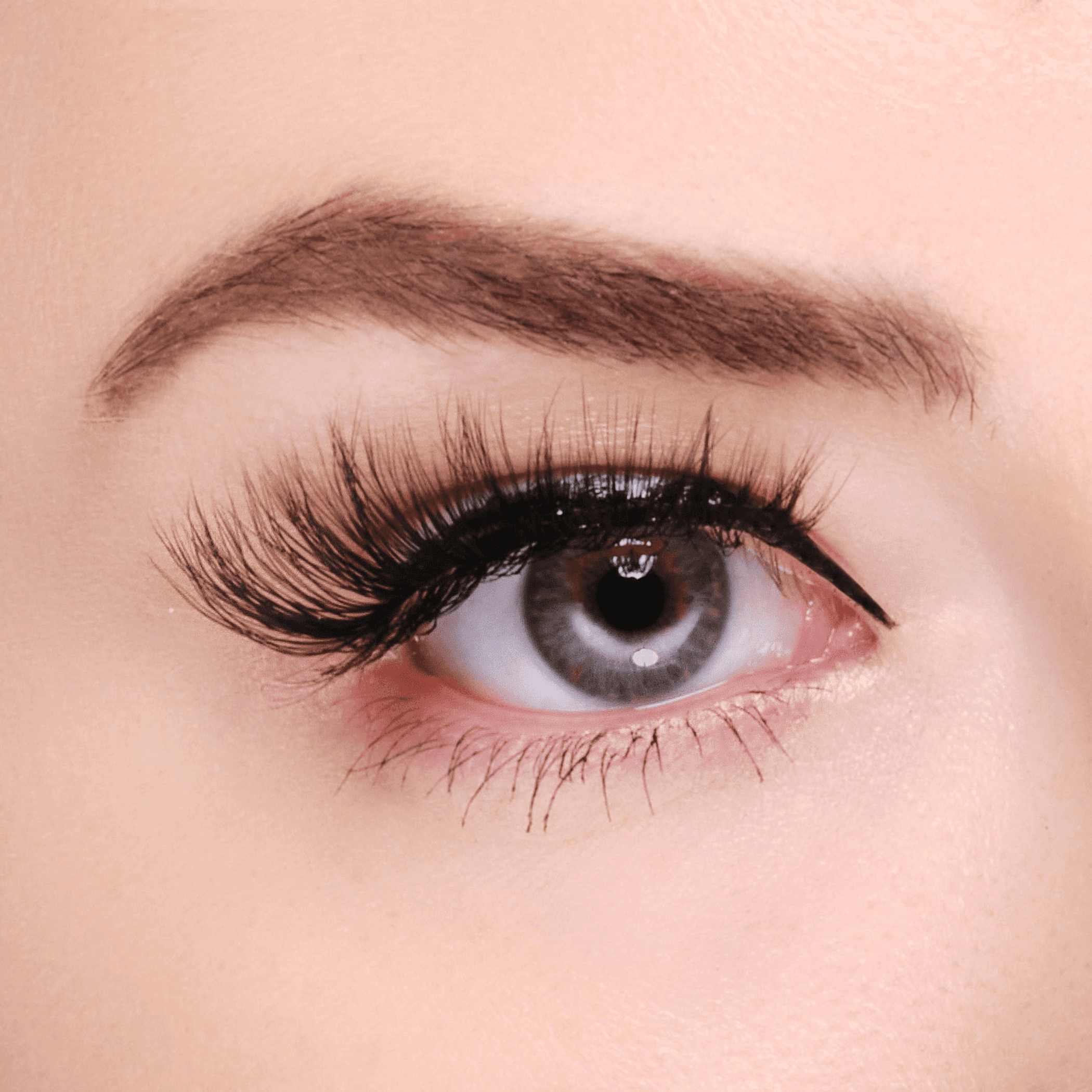 Black voluminous synthetic false eyelashes with a natural lashline fit