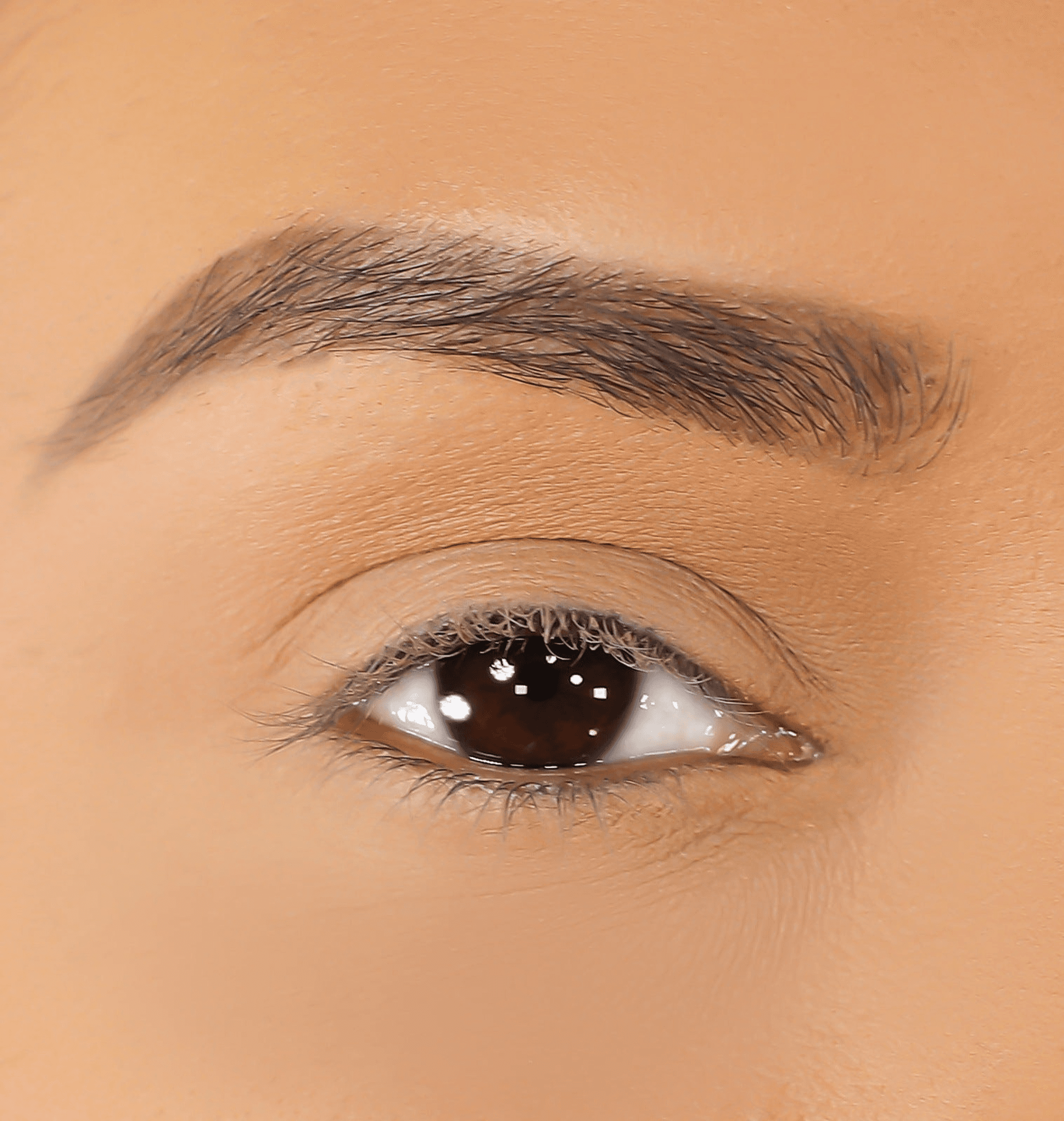 Mink false eyelashes on eye, dark lashes fanned upward