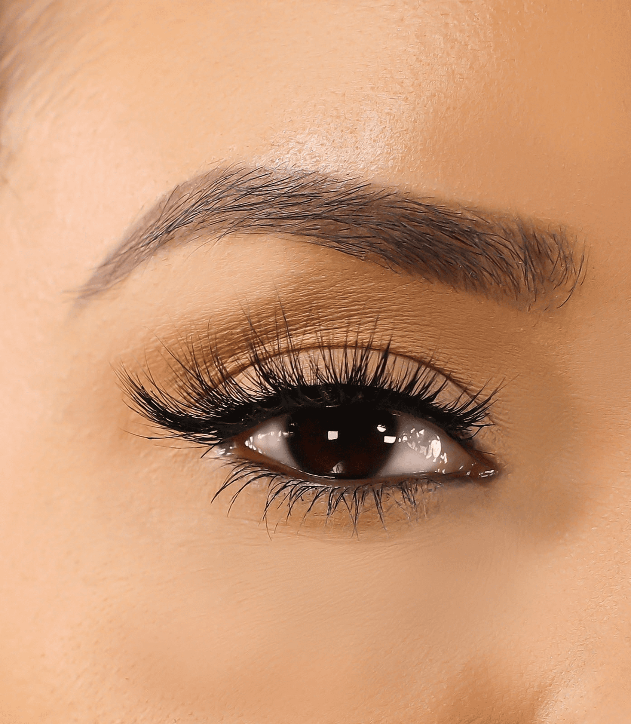 Mink false eyelashes on eye, full curved lash fan, dark black