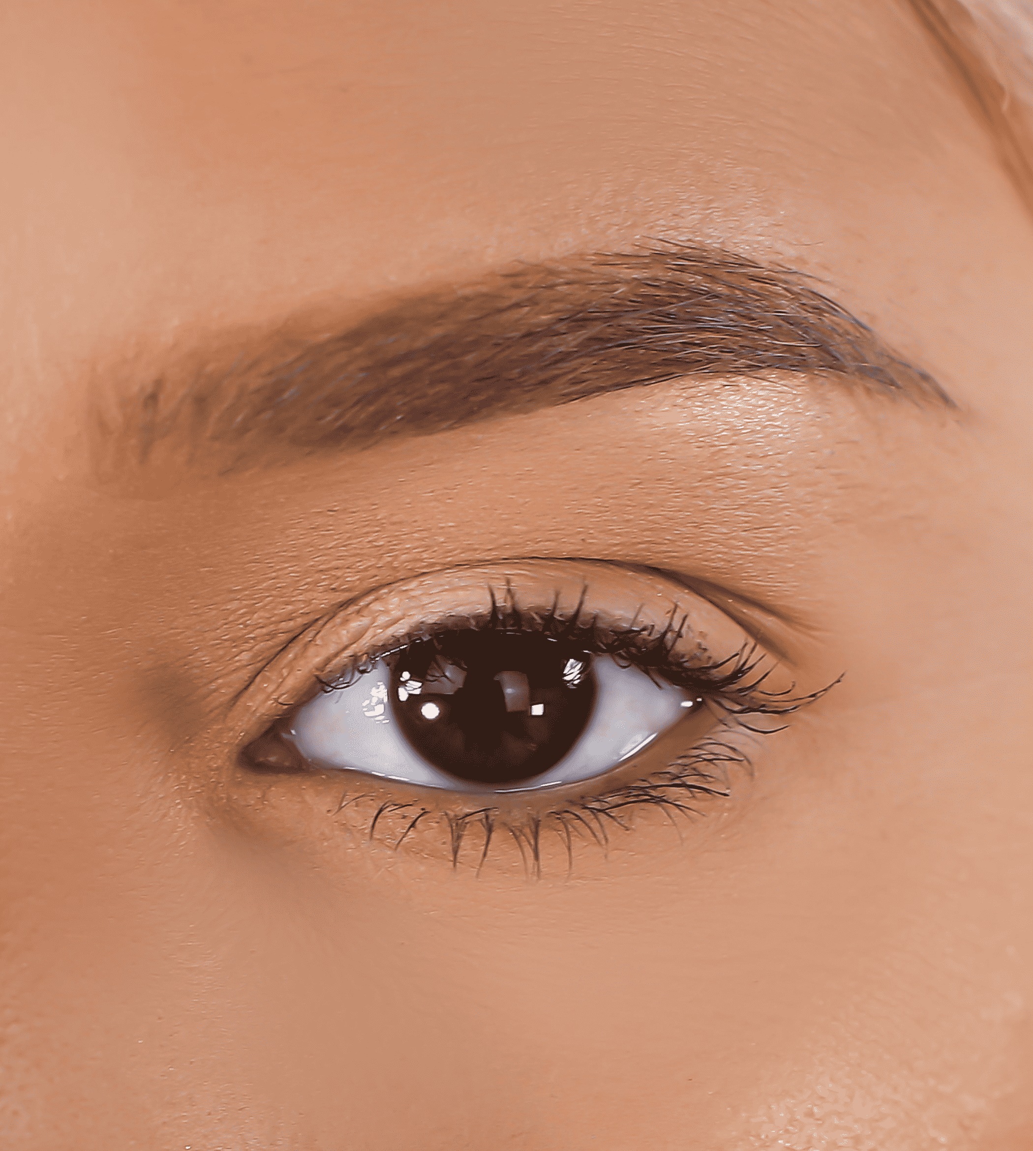 3D mink eyelashes with thick black outer coverage on eye