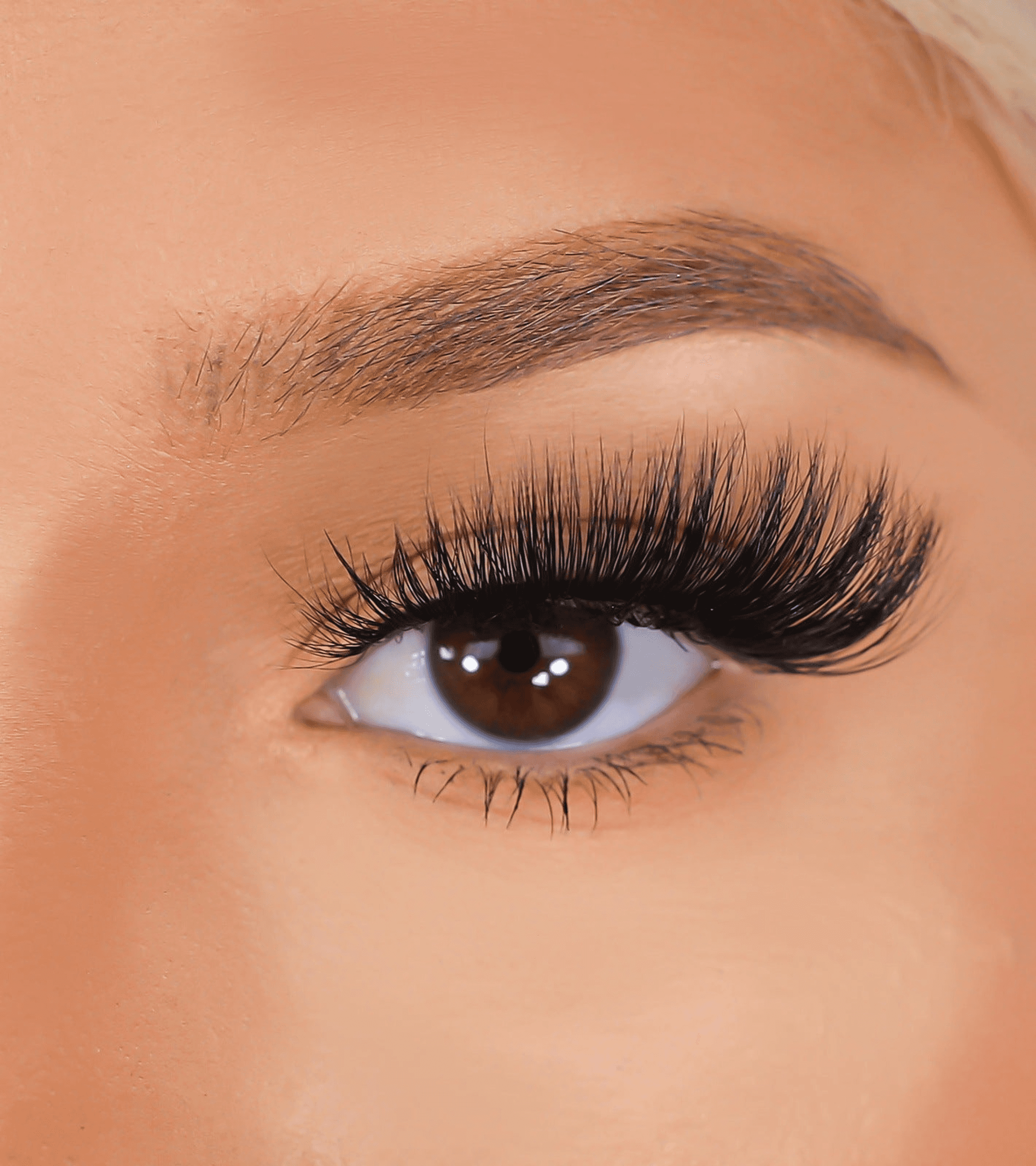 3D mink false eyelashes on lash line with long, voluminous black lashes