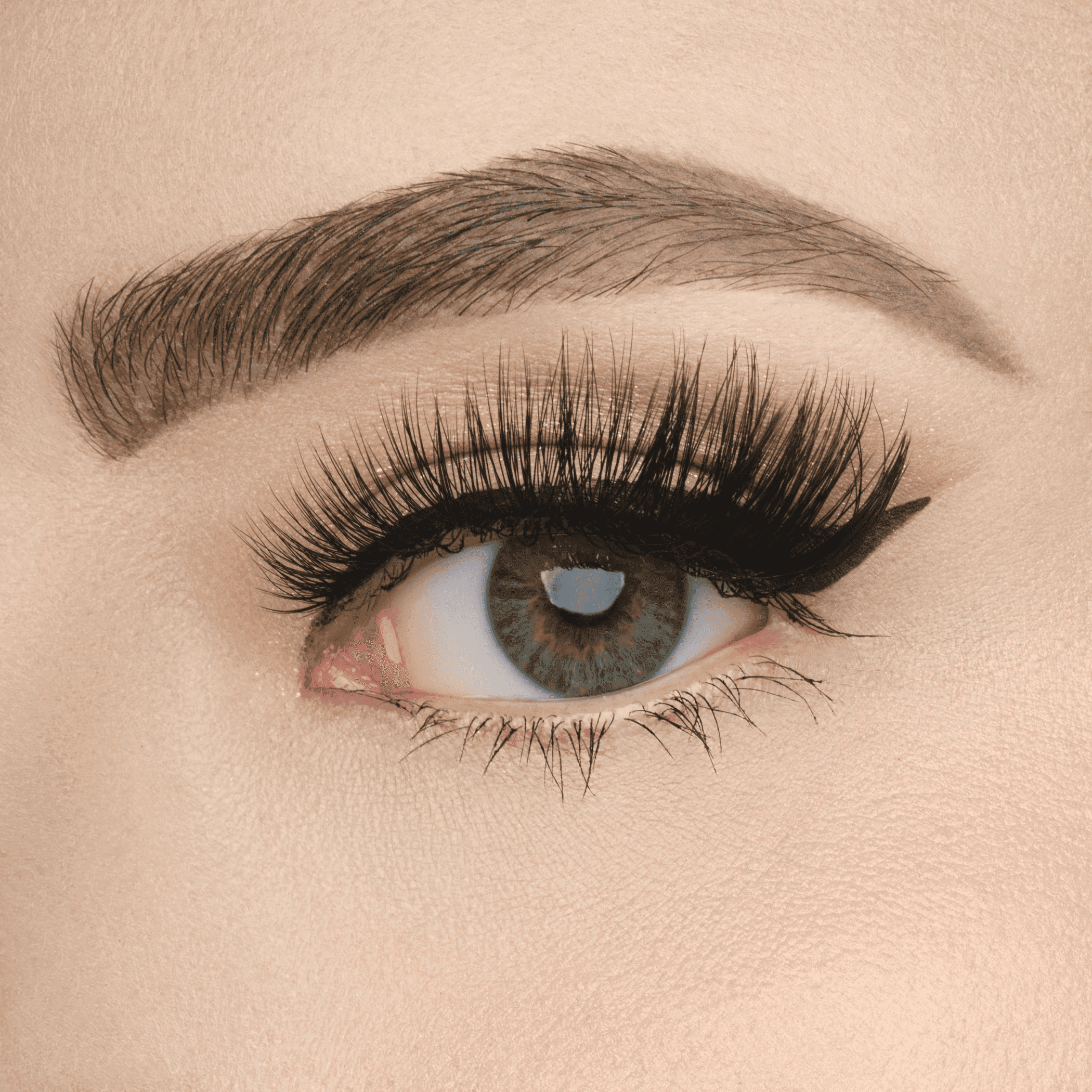 Applied false eyelashes on blue-gray eye with curled black lashes, close-up