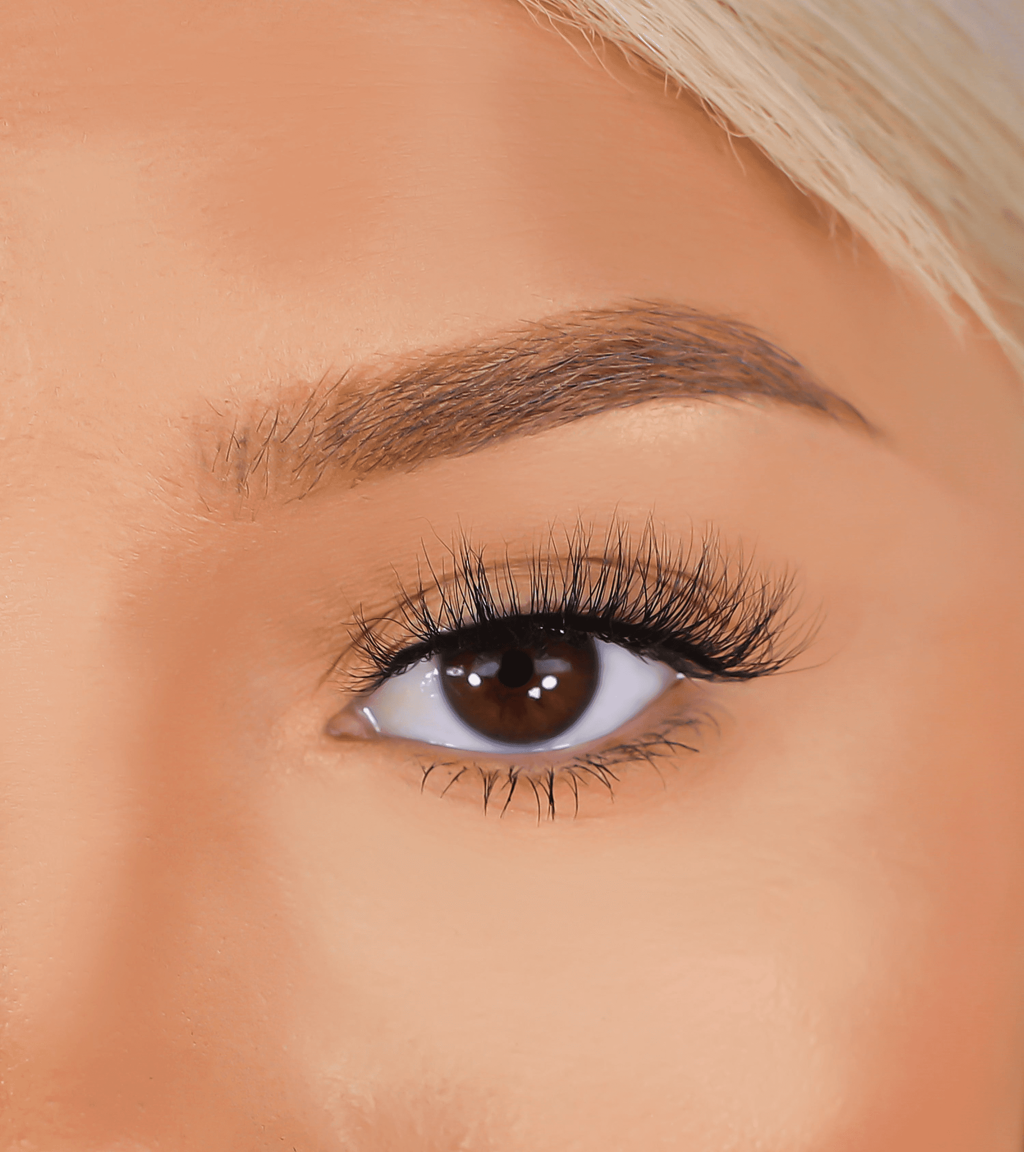 Close-up eye wearing long black false eyelashes, thick wispy outer corner