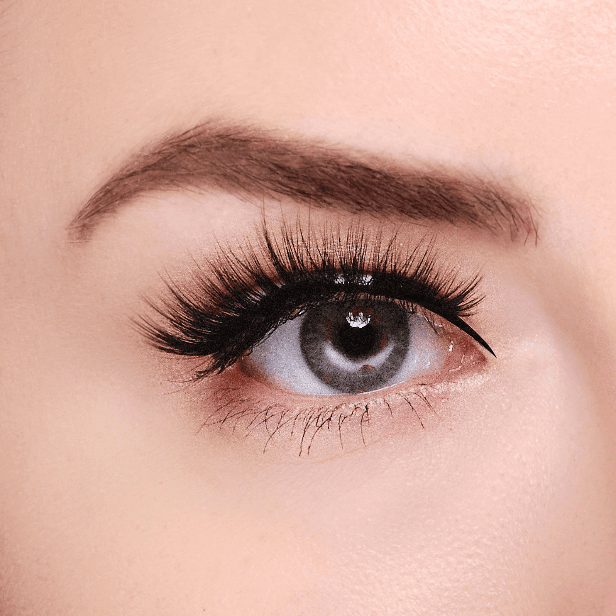 False eyelashes applied on an eye with long black wispy lash volume