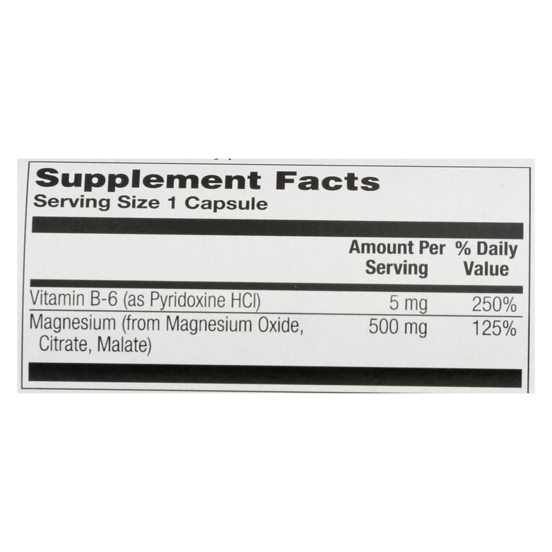 Nature's Life - Magnesium 500mg - 1 Each 1-100 Cap - GreatEagleInc